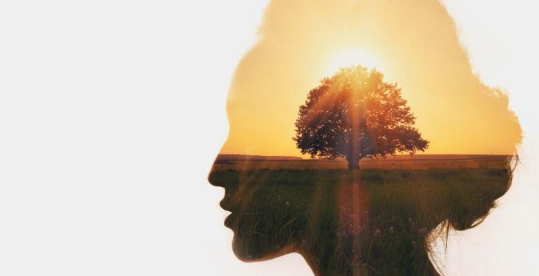 Kendini Gerçekleştiren Kehanet Ve Psikolojik Etkileri