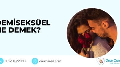 Demiseksüel Ne Demek?