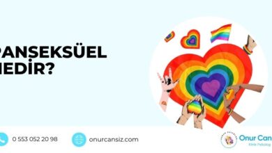 Panseksüel Nedir?