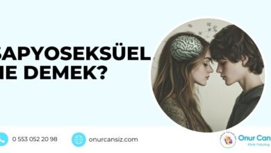 Sapyoseksüel Ne Demek?